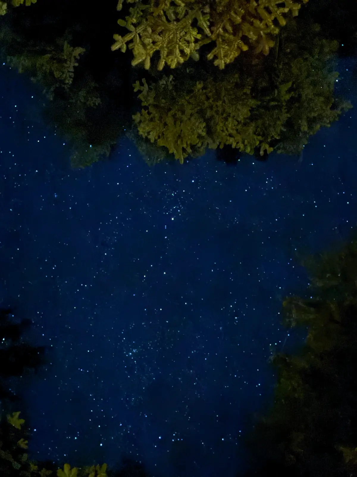 Storžič – fotografija s poti
