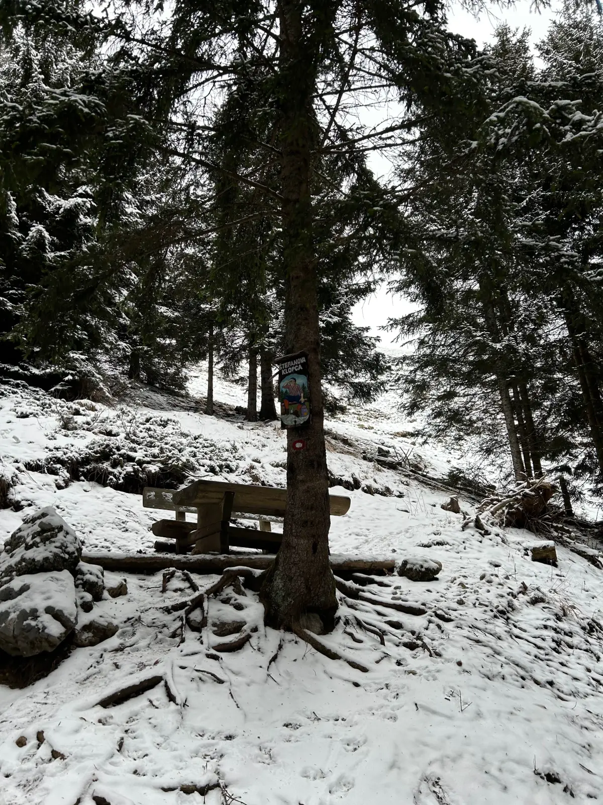 Kriška gora – fotografija s poti