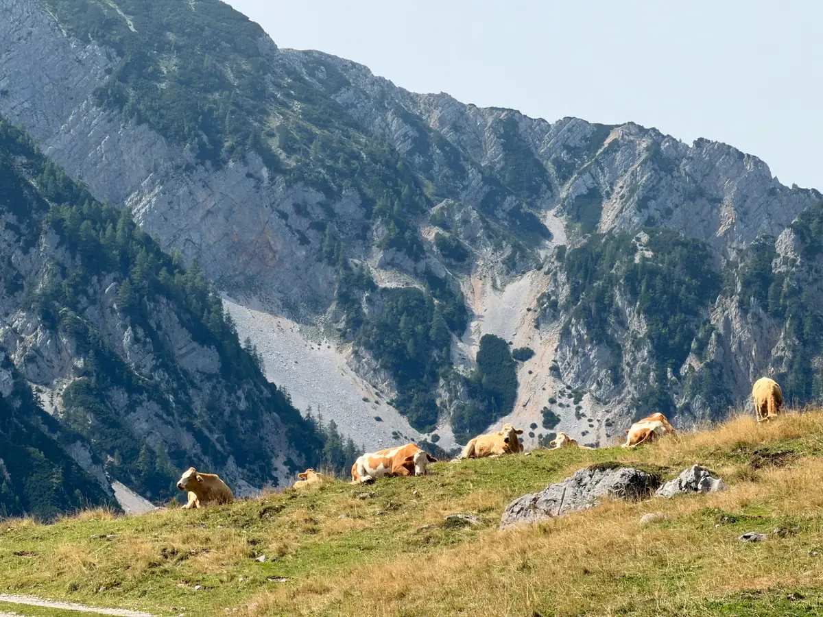 Stol – fotografija s poti