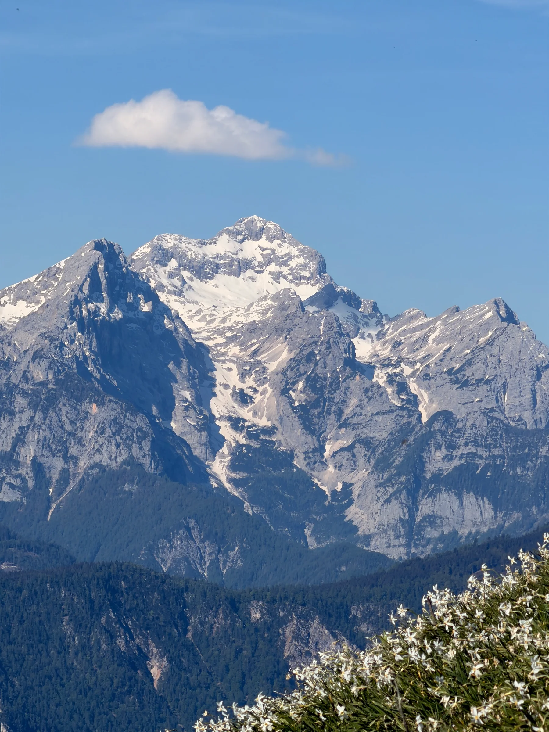 Golica – fotografija s poti