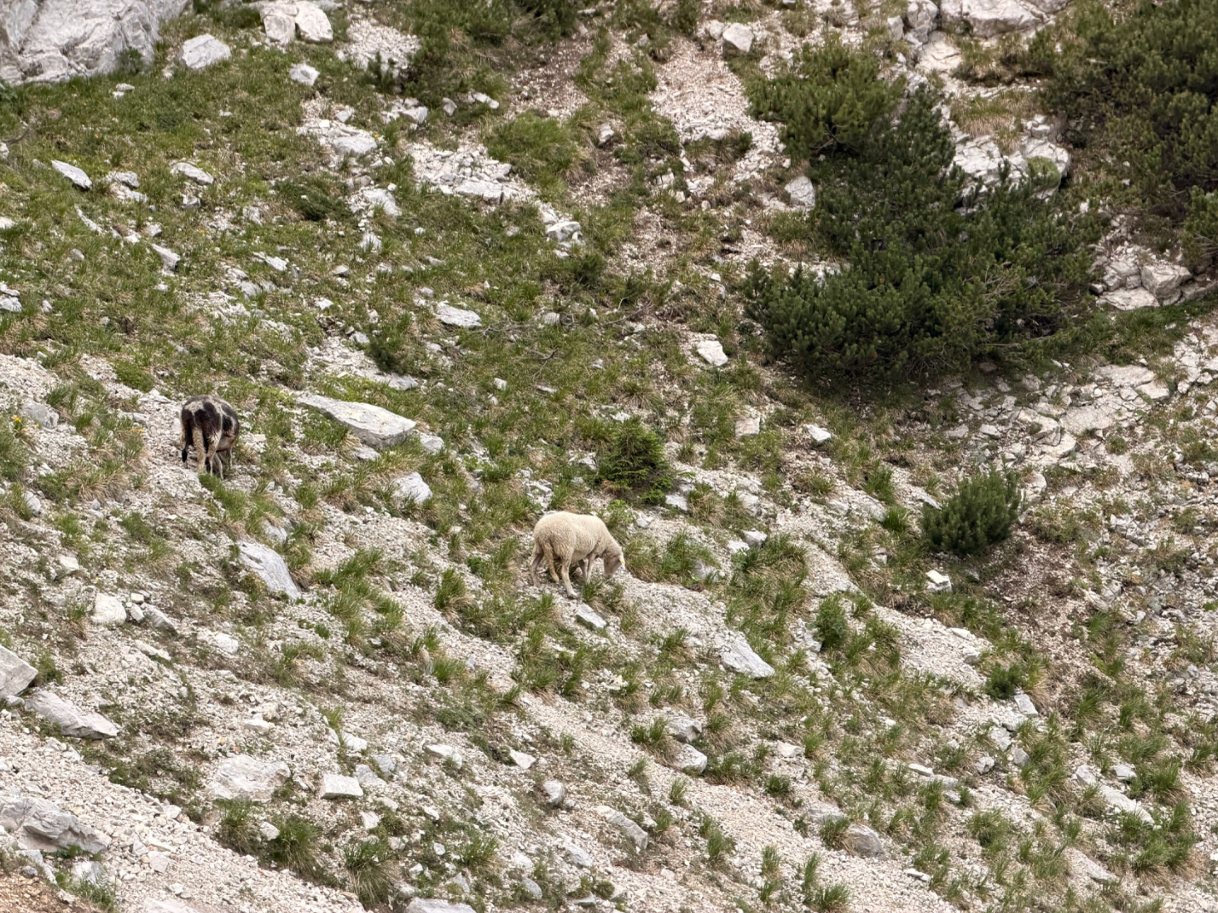 Mala Mojstrovka – fotografija s poti