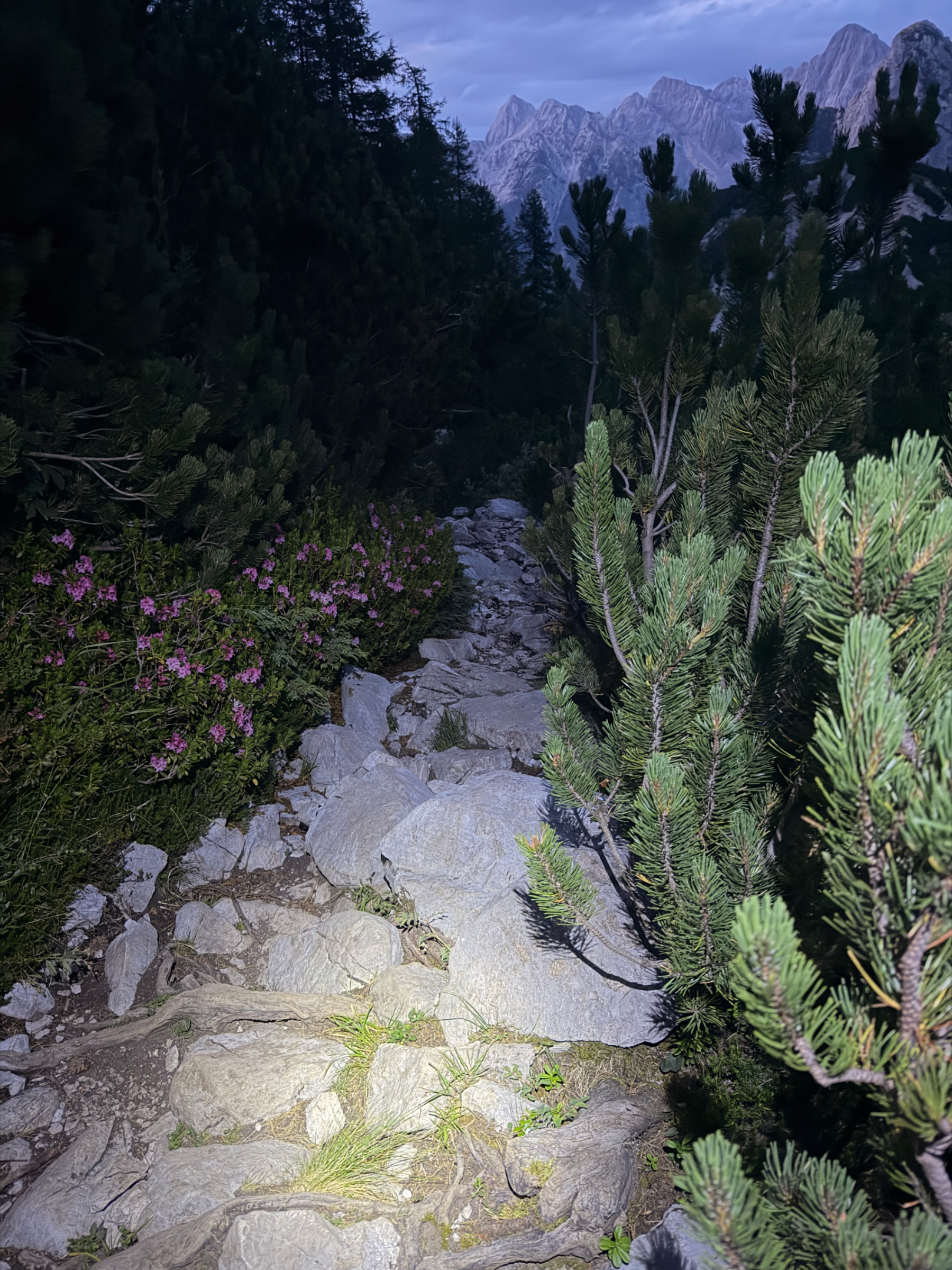 Mala Mojstrovka – fotografija s poti
