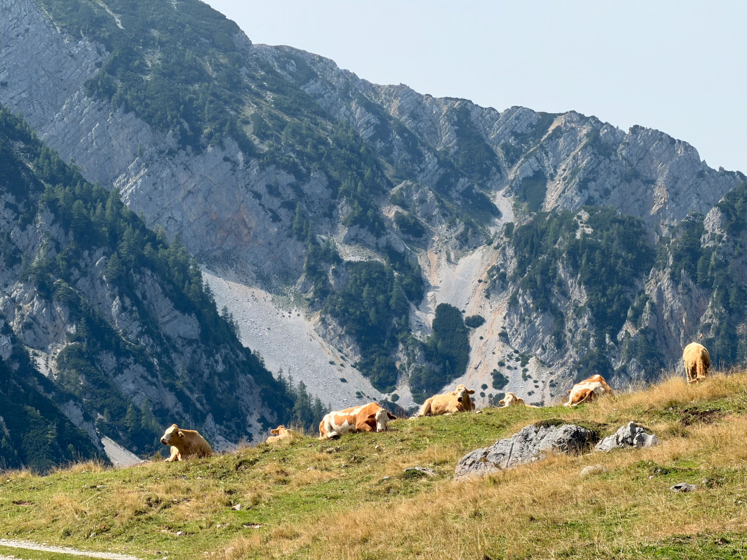 Stol – fotografija s poti