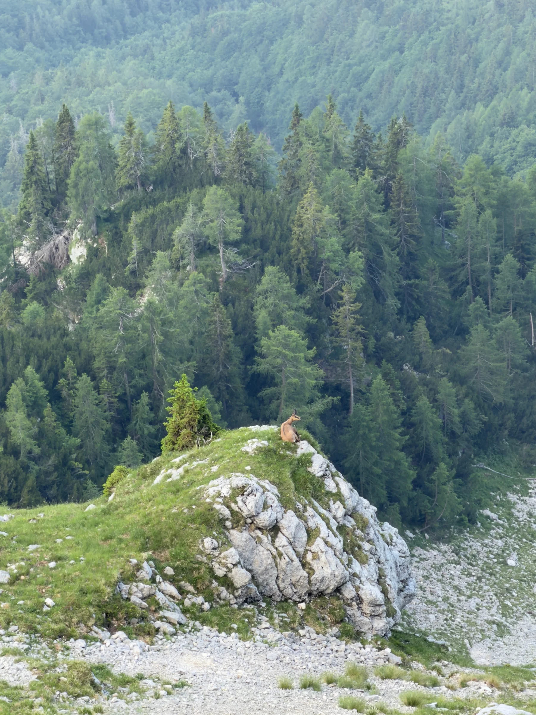Prisank / Prisojnik – fotografija s poti