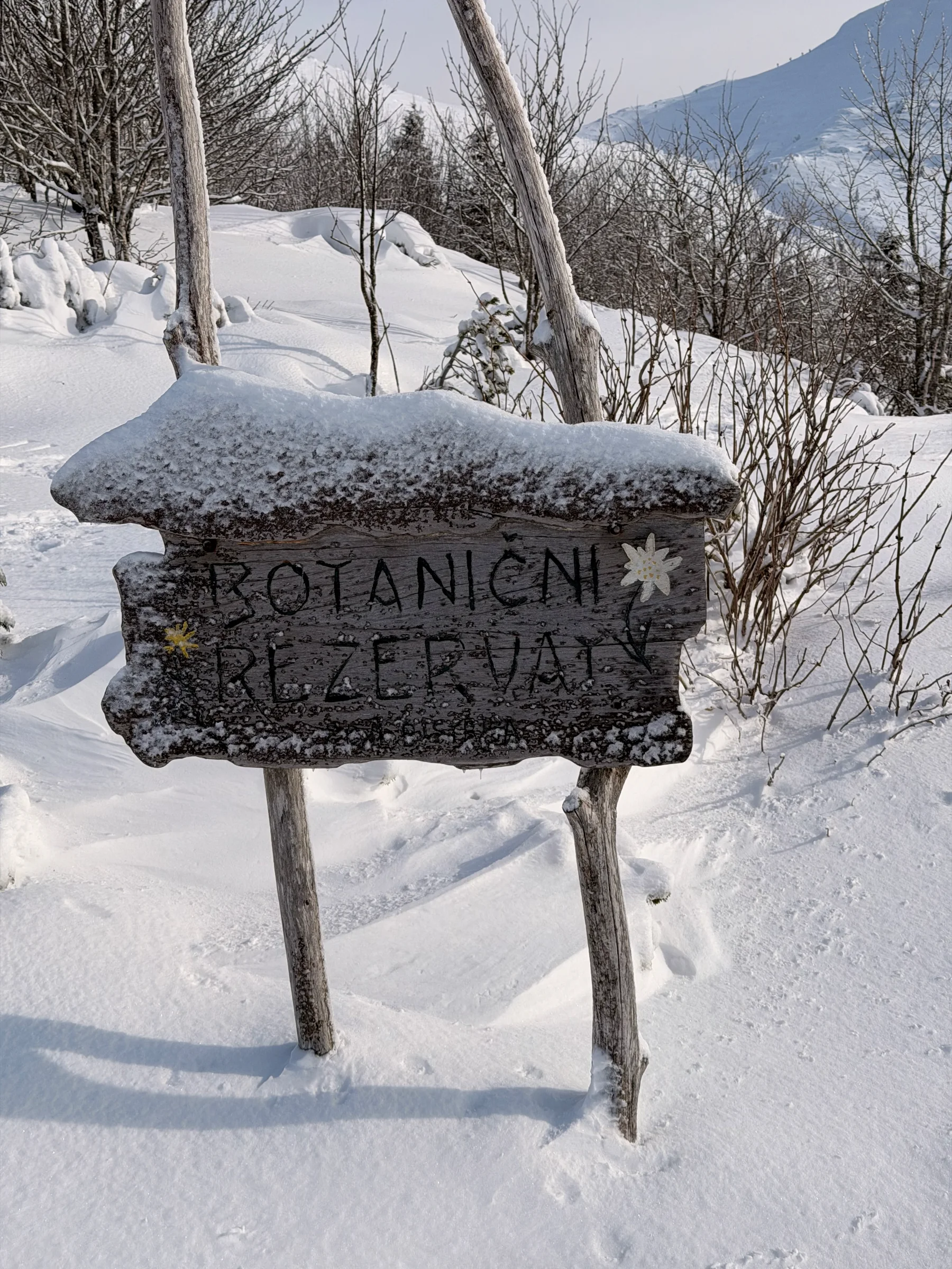 Snežnik – fotografija s poti